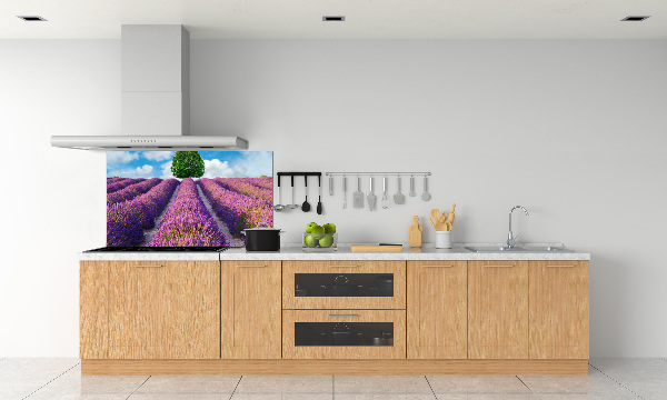 Kitchen splashback Lavender field