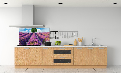 Kitchen splashback Lavender field