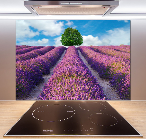 Kitchen splashback Lavender field