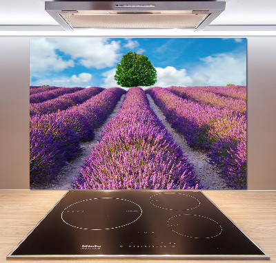 Kitchen splashback Lavender field