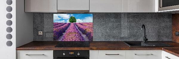 Kitchen splashback Lavender field