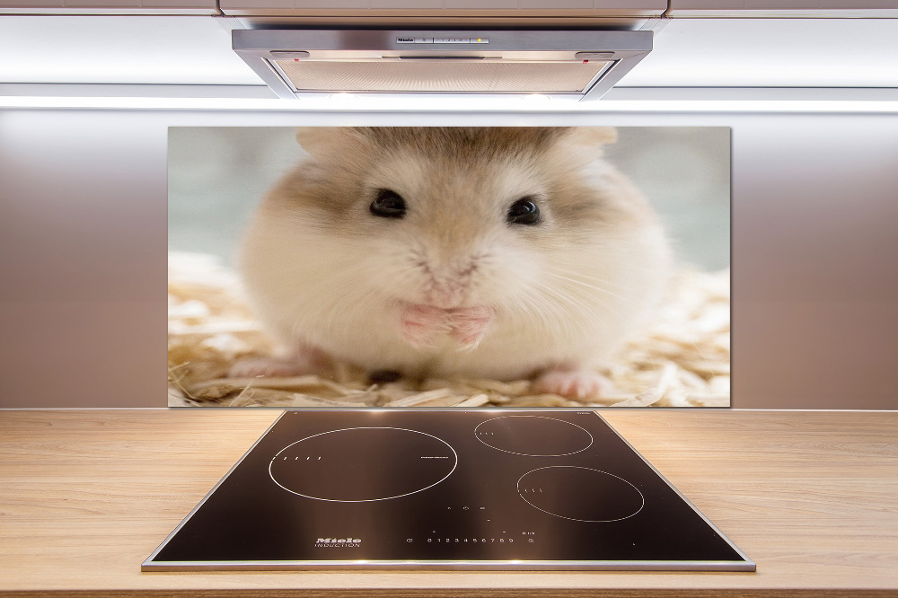 Cooker splashback Hamster