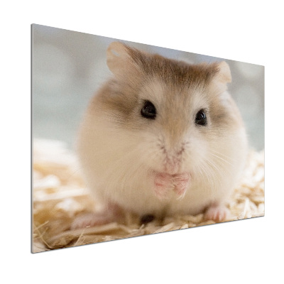 Cooker splashback Hamster