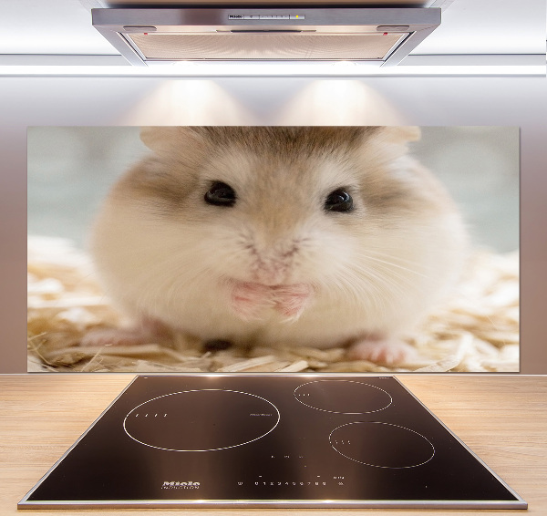 Cooker splashback Hamster