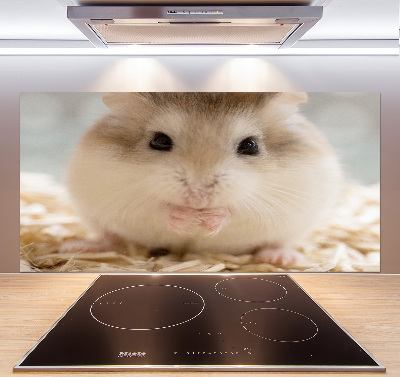 Cooker splashback Hamster