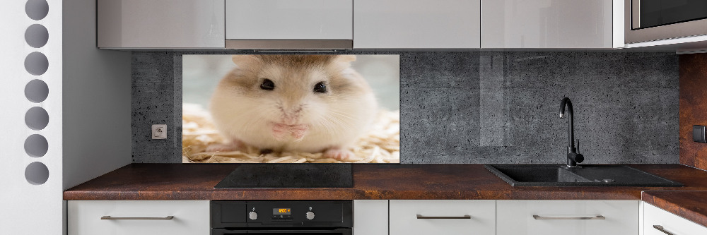 Cooker splashback Hamster