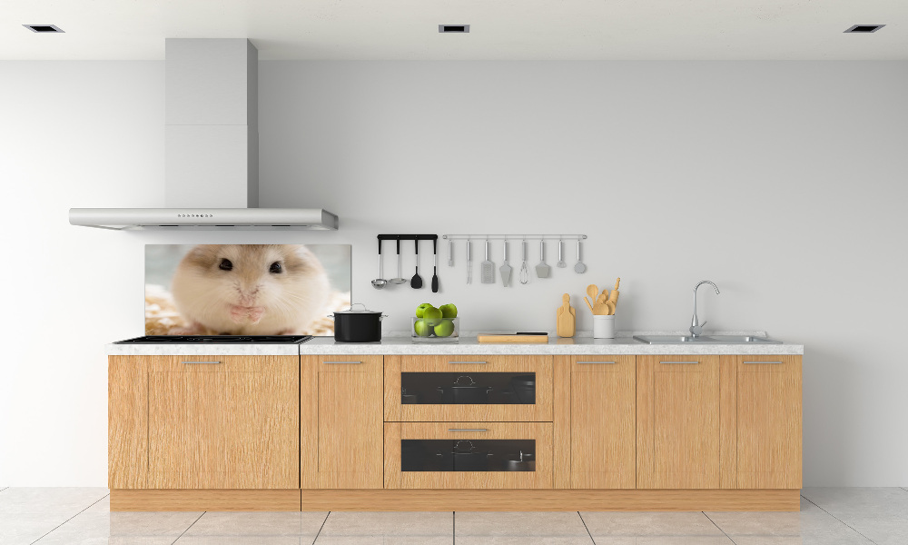 Cooker splashback Hamster