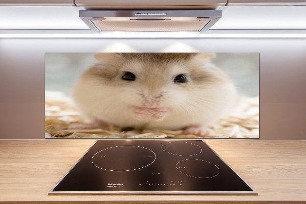 Cooker splashback Hamster