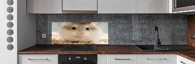 Cooker splashback Hamster