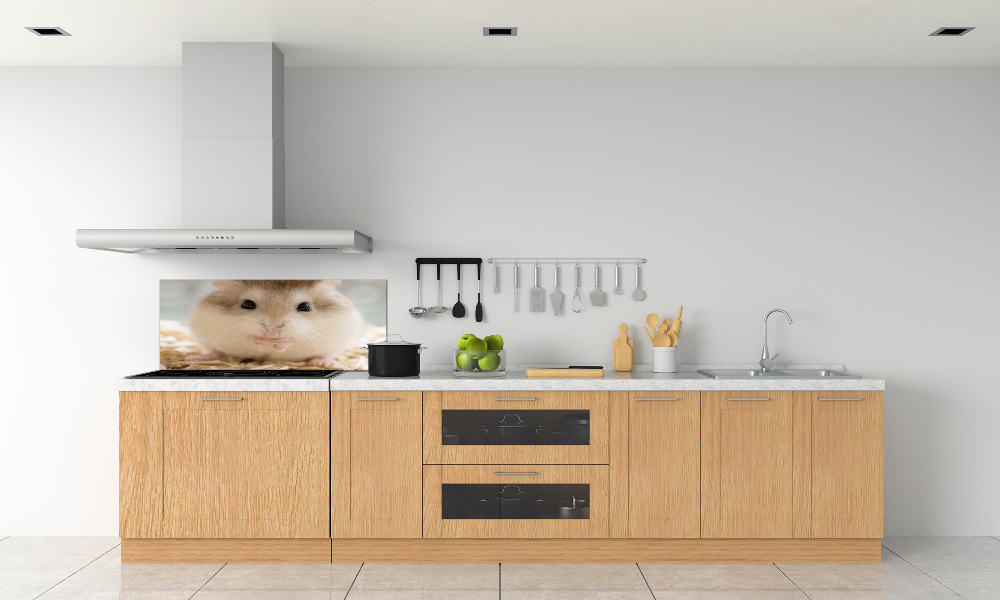 Cooker splashback Hamster