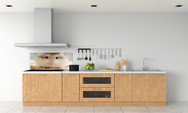 Cooker splashback Hamster