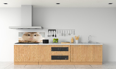 Cooker splashback Hamster