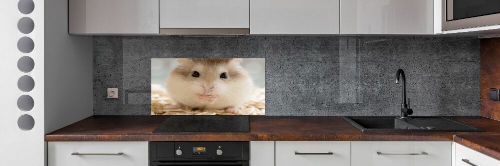 Cooker splashback Hamster