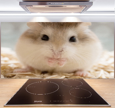 Cooker splashback Hamster