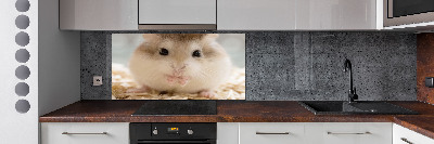 Cooker splashback Hamster