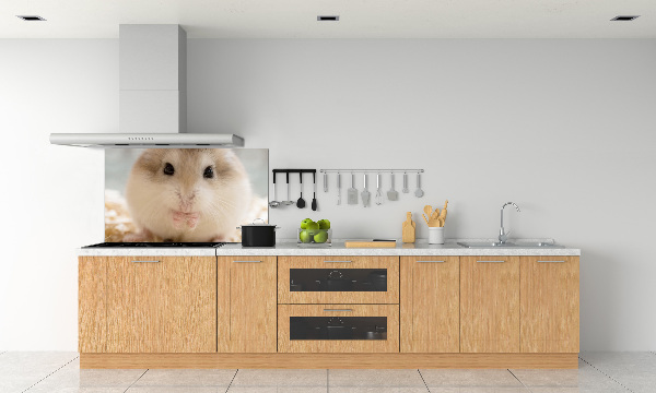 Cooker splashback Hamster