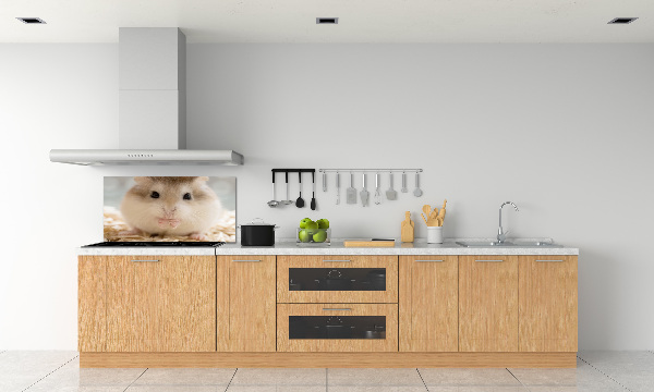 Cooker splashback Hamster