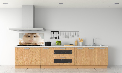 Cooker splashback Hamster