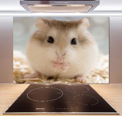 Cooker splashback Hamster