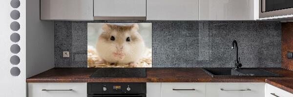 Cooker splashback Hamster