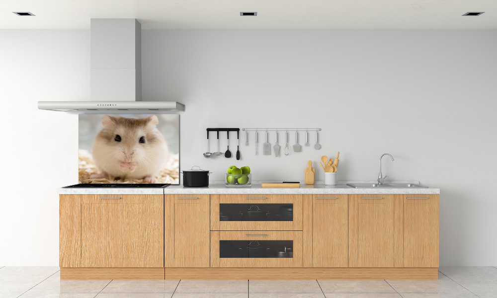 Cooker splashback Hamster