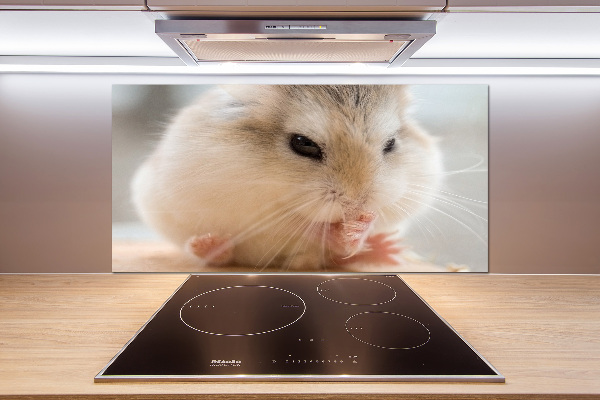 Cooker splashback Hamster