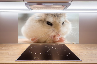 Cooker splashback Hamster