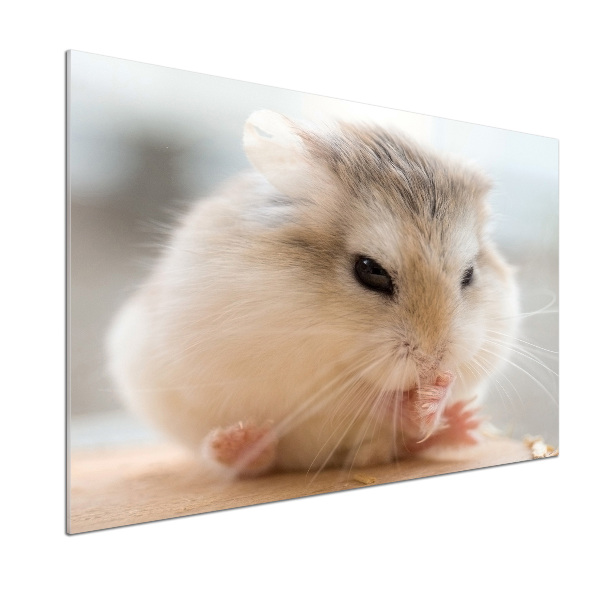 Cooker splashback Hamster