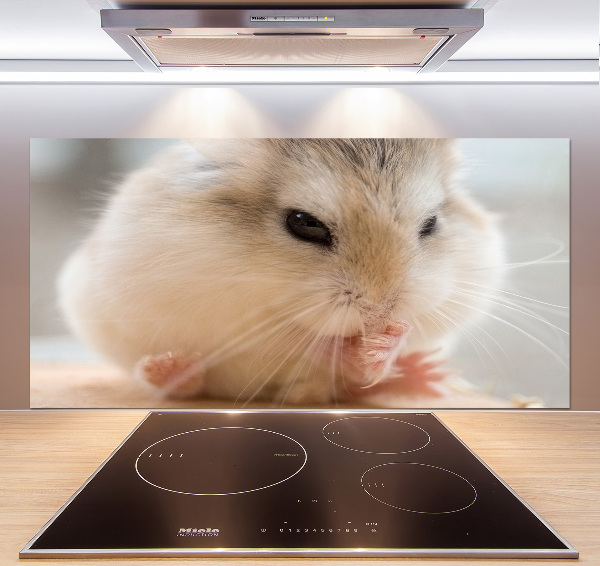 Cooker splashback Hamster