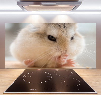 Cooker splashback Hamster