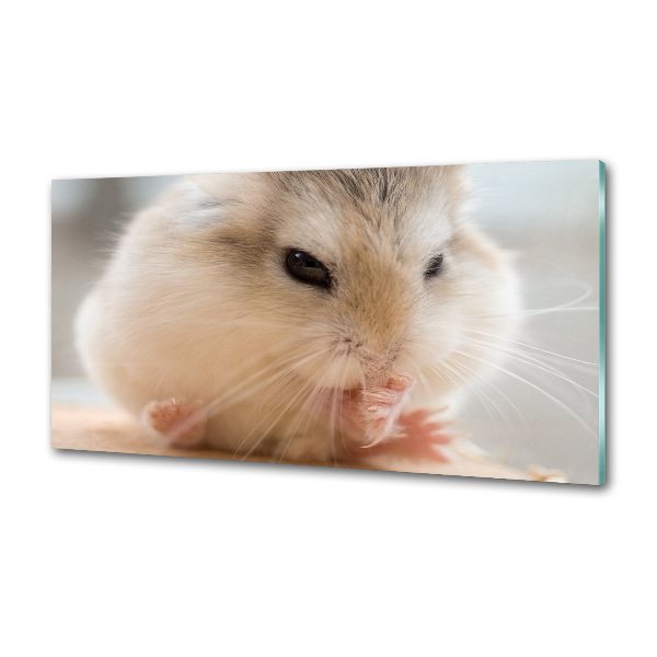 Cooker splashback Hamster