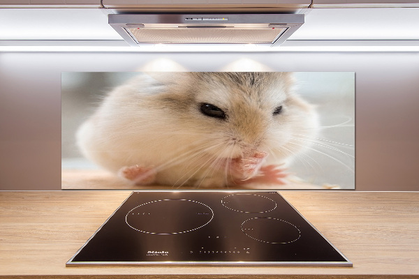 Cooker splashback Hamster