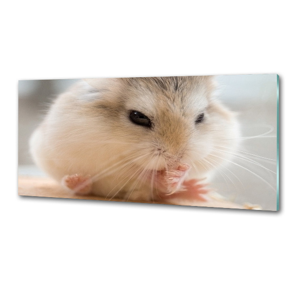 Cooker splashback Hamster