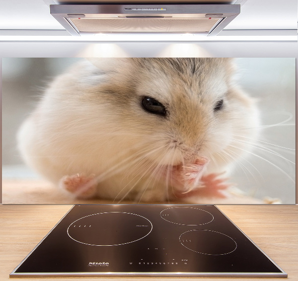 Cooker splashback Hamster