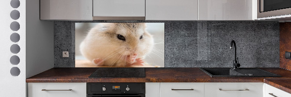 Cooker splashback Hamster