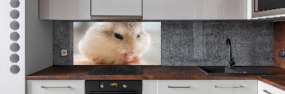 Cooker splashback Hamster