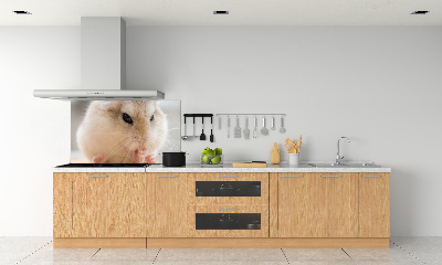 Cooker splashback Hamster