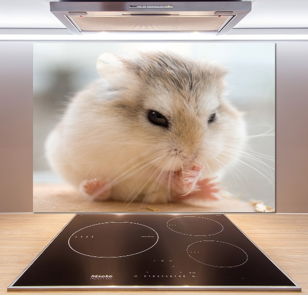 Cooker splashback Hamster