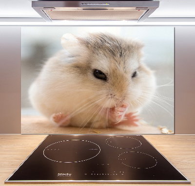 Cooker splashback Hamster