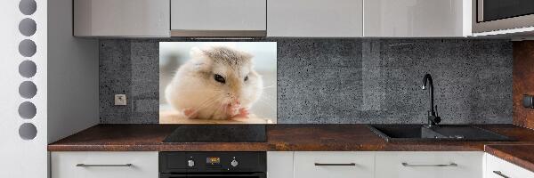 Cooker splashback Hamster