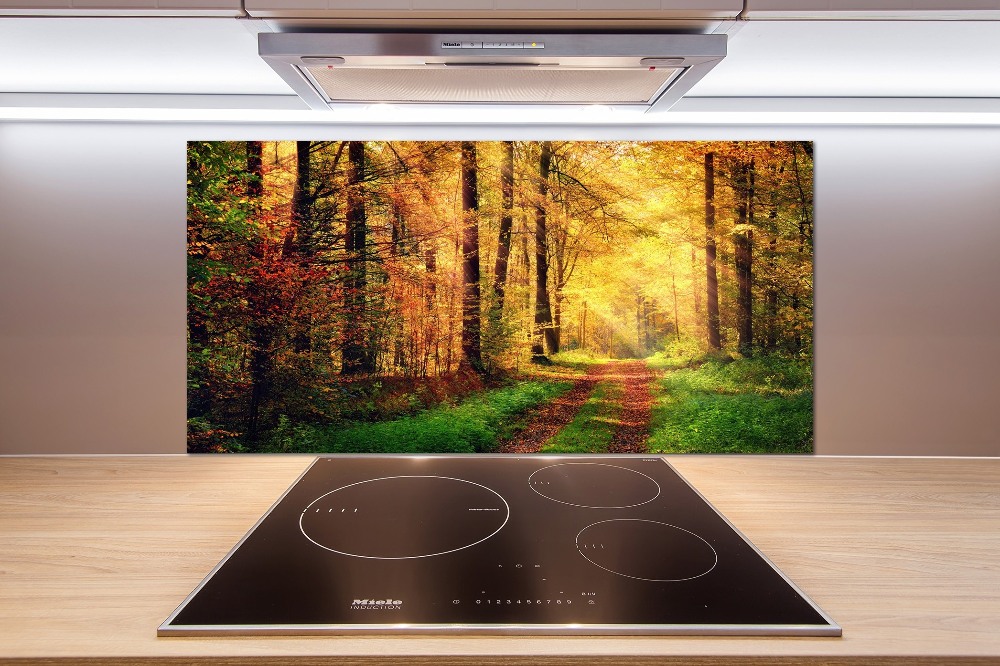 Kitchen splashback Forest in autumn