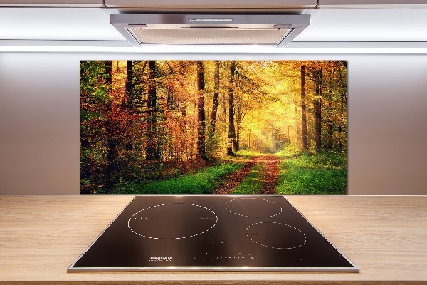 Kitchen splashback Forest in autumn