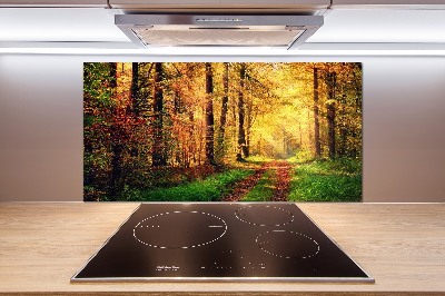 Kitchen splashback Forest in autumn