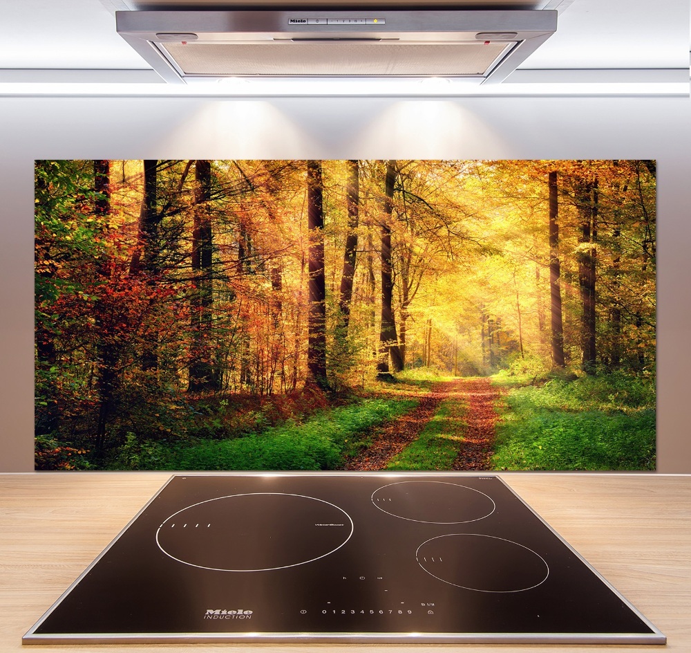 Kitchen splashback Forest in autumn