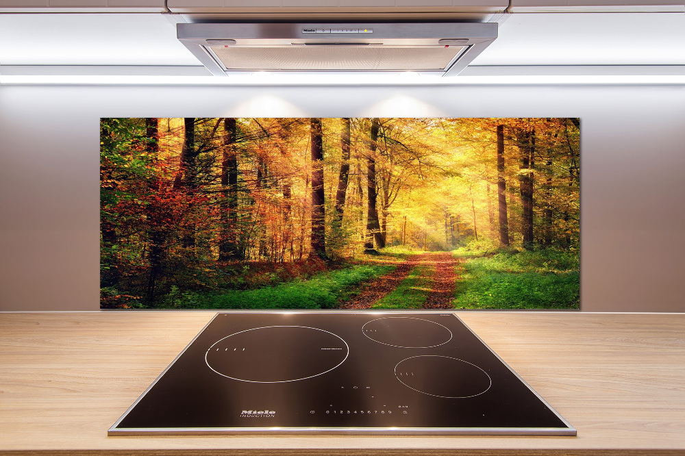 Kitchen splashback Forest in autumn