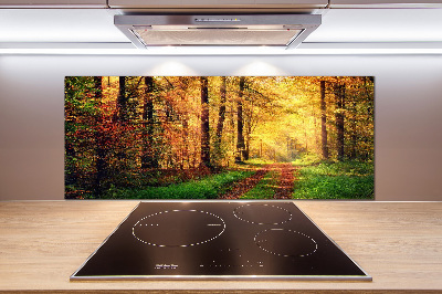 Kitchen splashback Forest in autumn