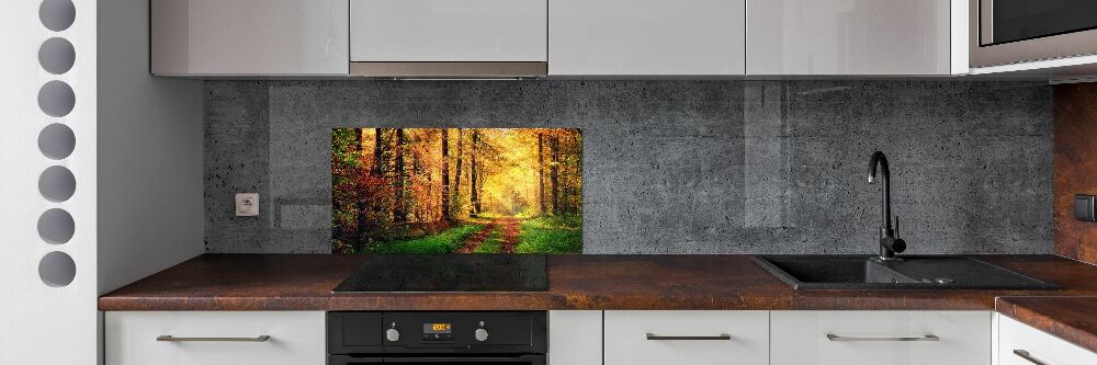 Kitchen splashback Forest in autumn