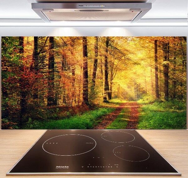 Kitchen splashback Forest in autumn