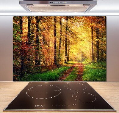 Kitchen splashback Forest in autumn