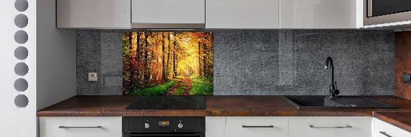 Kitchen splashback Forest in autumn